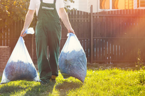 Yard Cleanup Services in Waynesville, MO